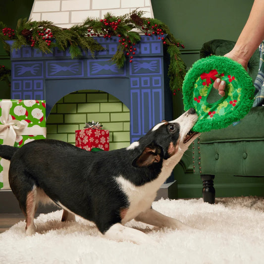 BARK Xmas Wreath Toss