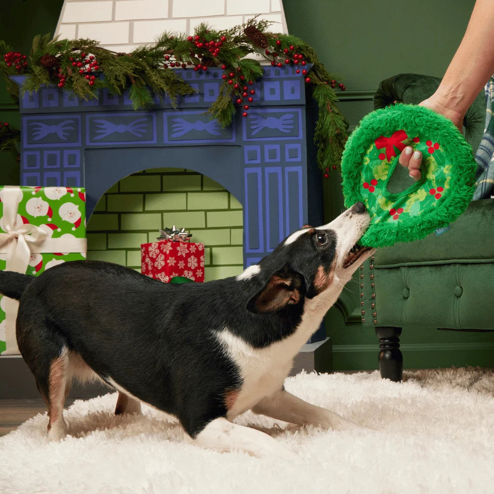 BARK Xmas Wreath Toss