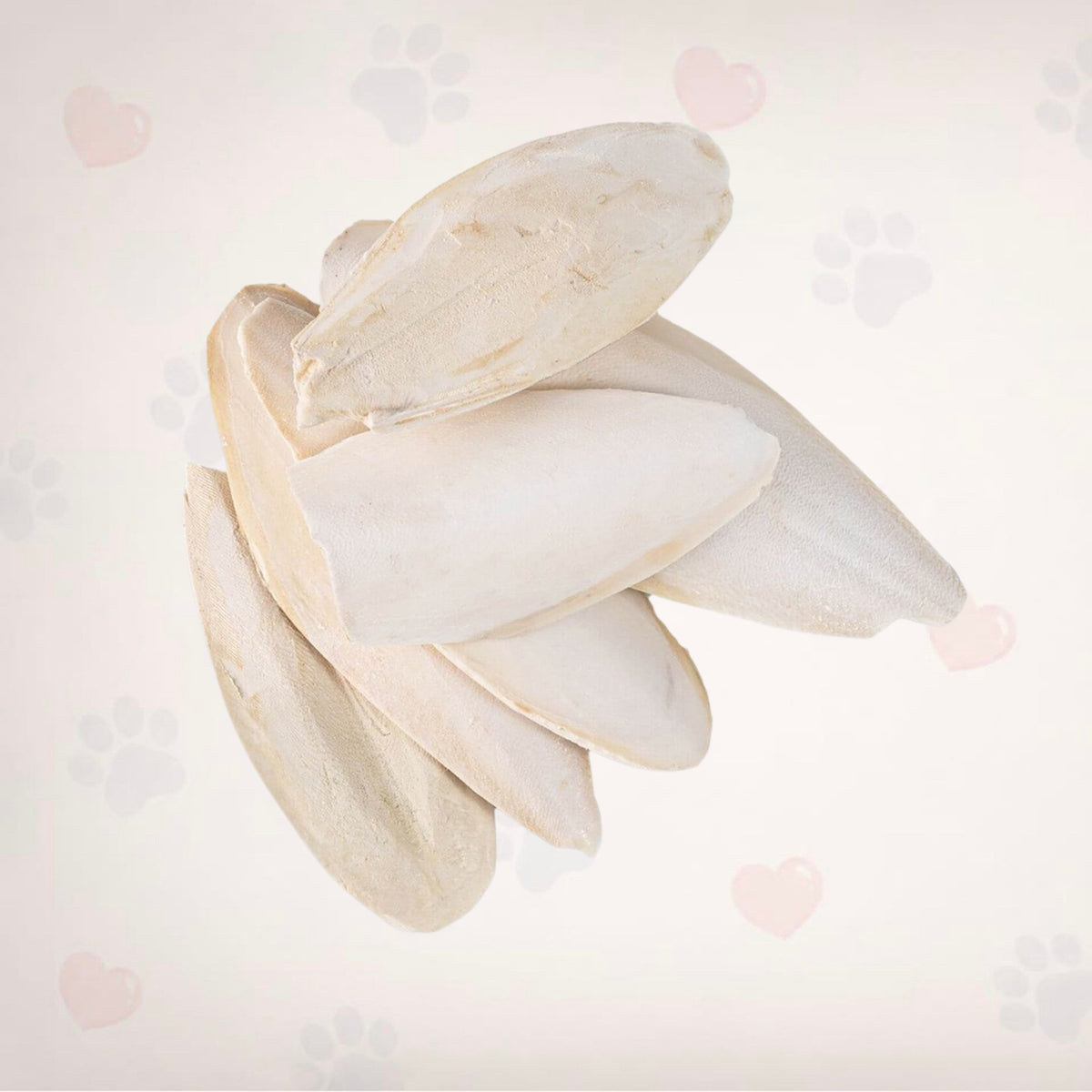 Cuttlefish - 100g