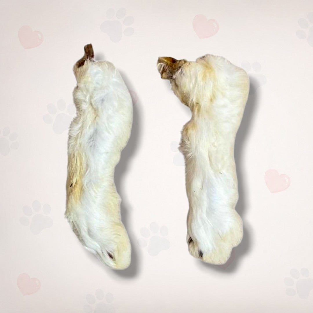 Rabbit Feet