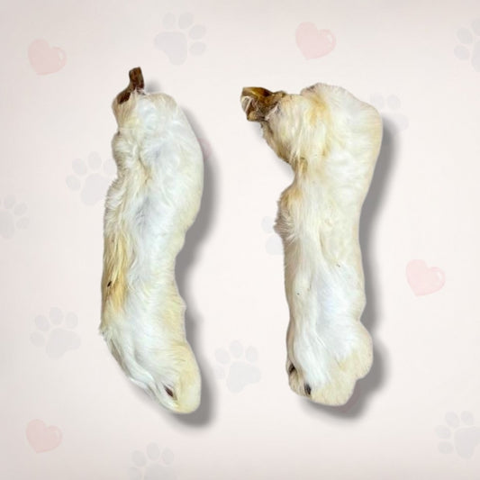 Rabbit Feet
