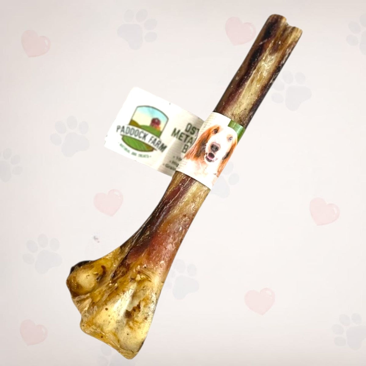 Ostrich Metatarsus Bone