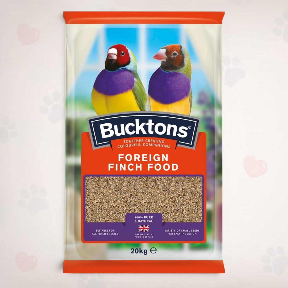 Foreign Finch