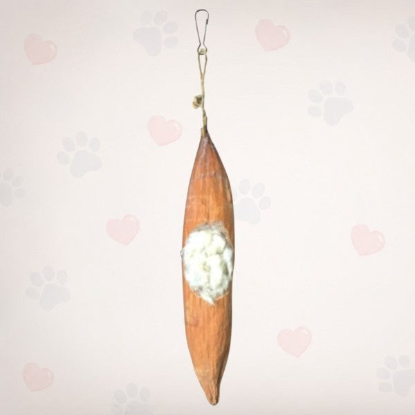 Natural Cotton Pod