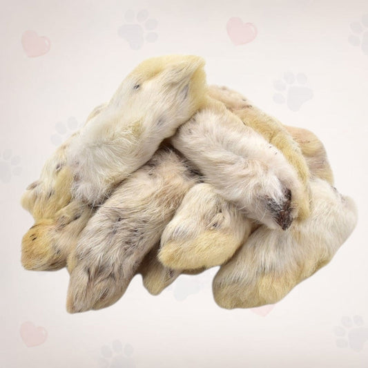 Rabbit Feet