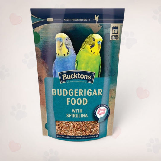 Budgie With Spirulina