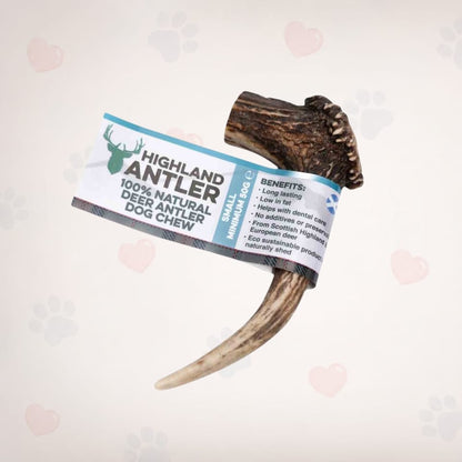 Antlers