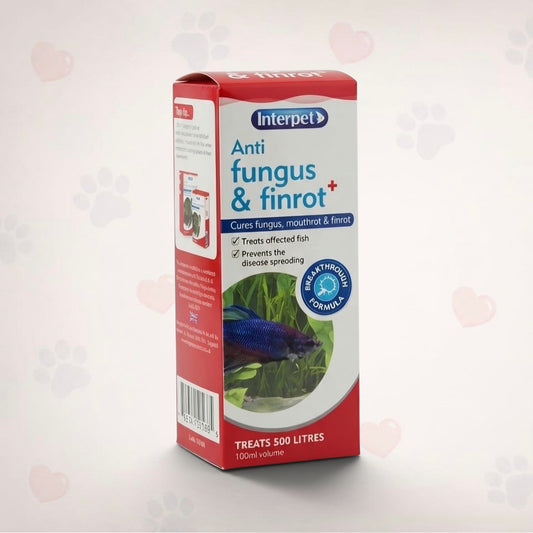 Interpet Anti Fungus & Finrot