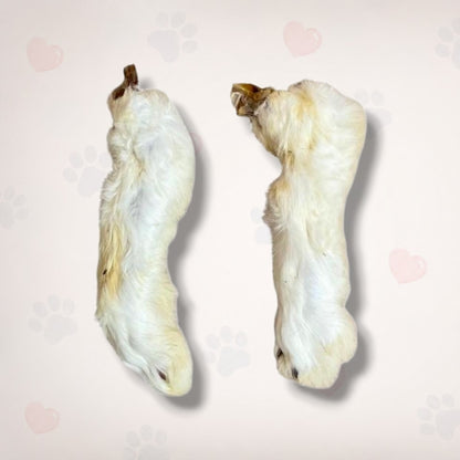 Rabbit Feet