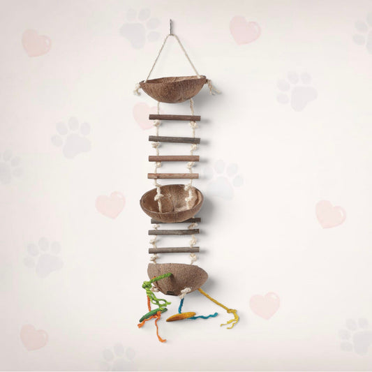 Coco Feeder With Ladder