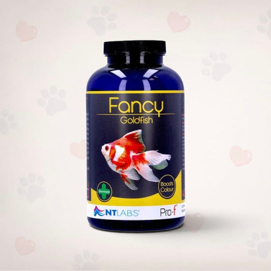 NT Labs Fancy Goldfish