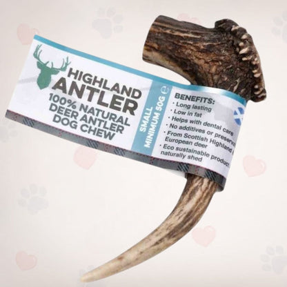 Antlers