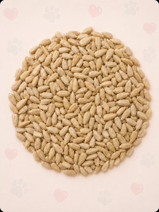 Sunflower Hearts