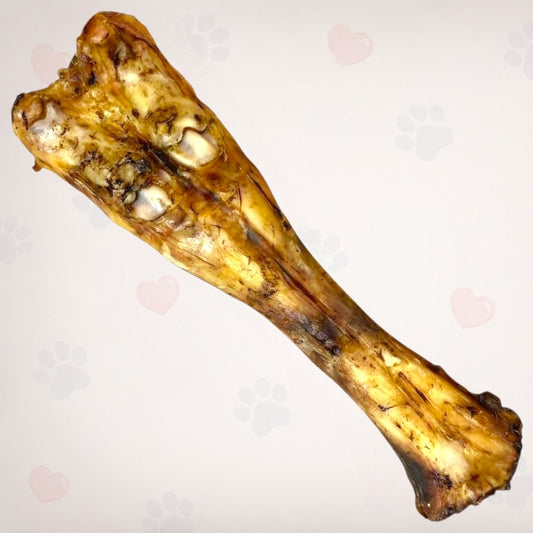 Cow Leg Bone