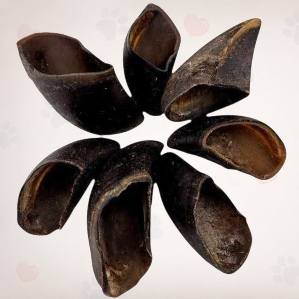 Empty Cow Hooves