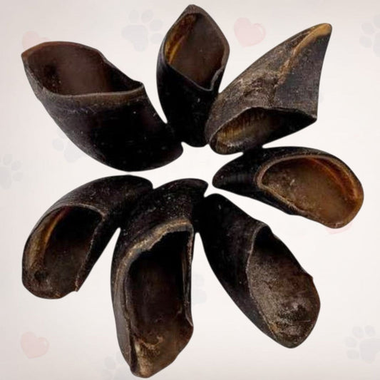 Empty Cow Hooves
