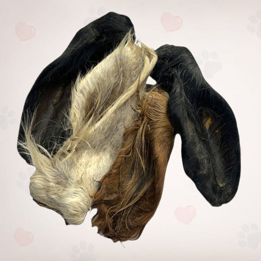 Furry Cow Ear