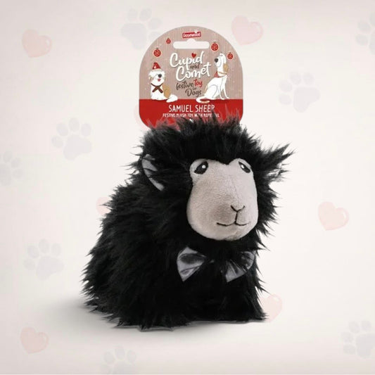 Cupid & Comet Samuel Sheep