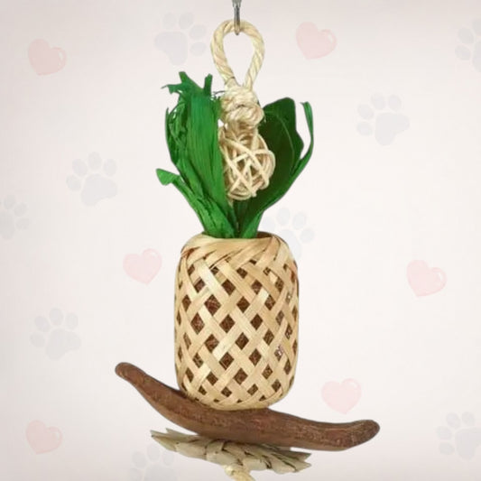Pineapple Lantern Toy