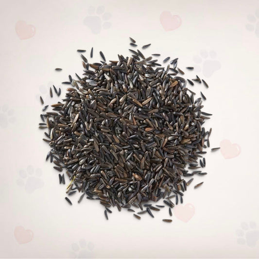 Niyer Seed