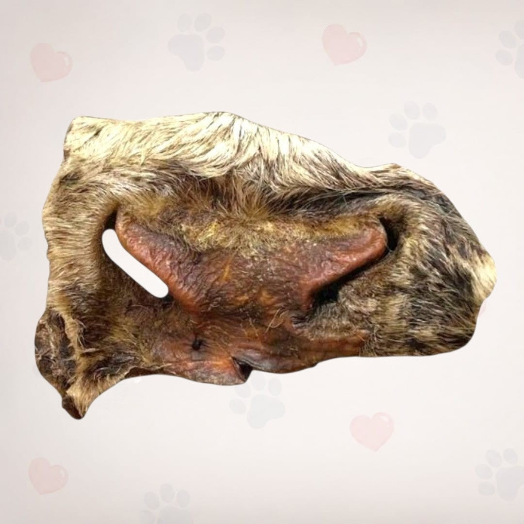 Beef Snout