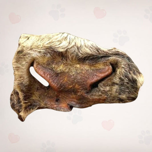 Beef Snout