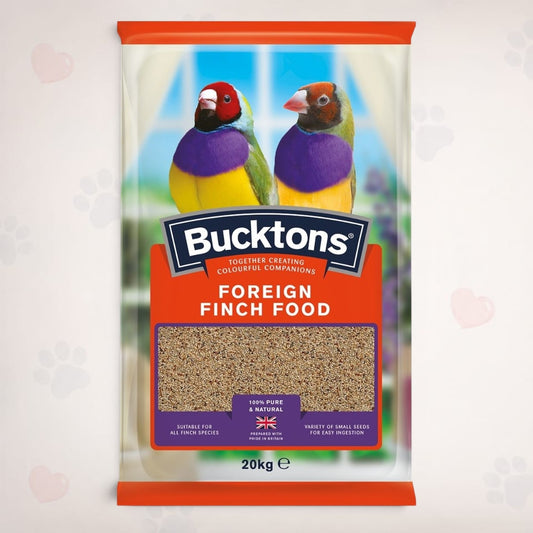 Foreign Finch