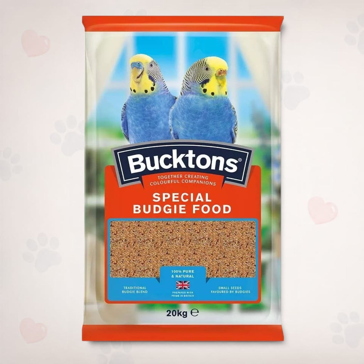 Special Budgie