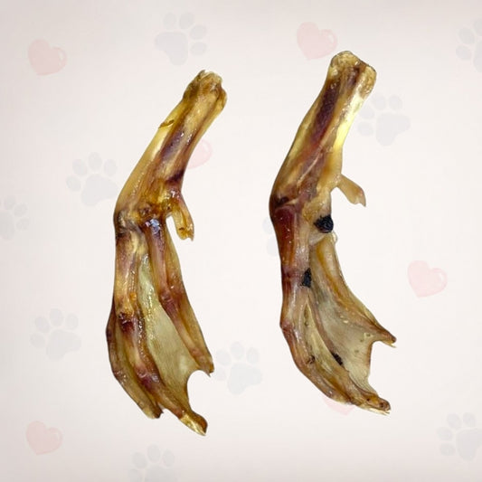 Duck Feet
