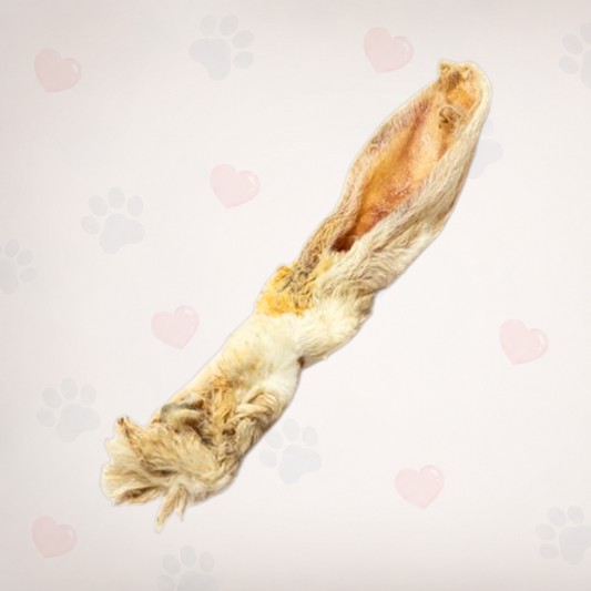 Furry Rabbit Ears