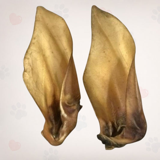 Large Buffalo Ears